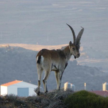 Casa Rural La Sabina Fortanete 外观 照片