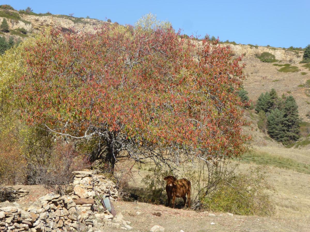 Casa Rural La Sabina Fortanete 外观 照片