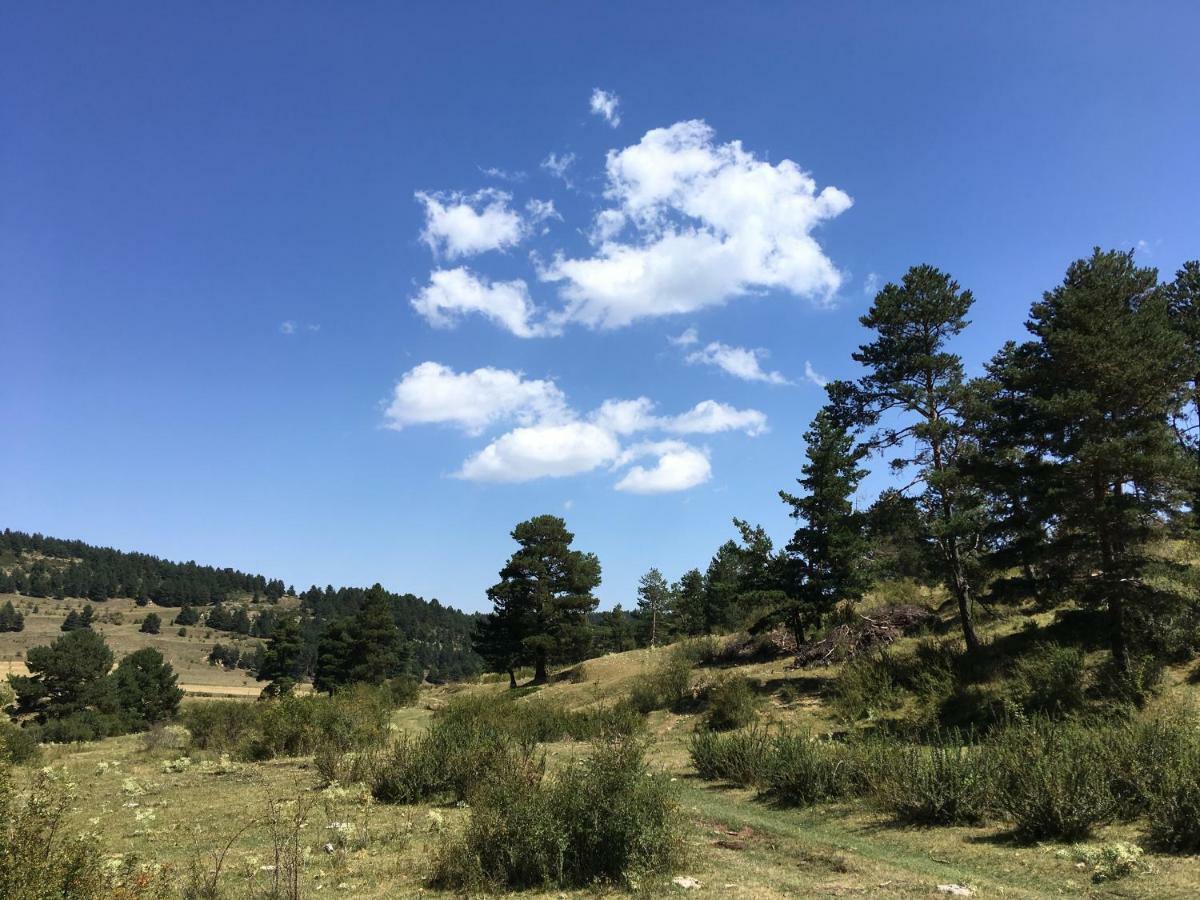 Casa Rural La Sabina Fortanete 外观 照片