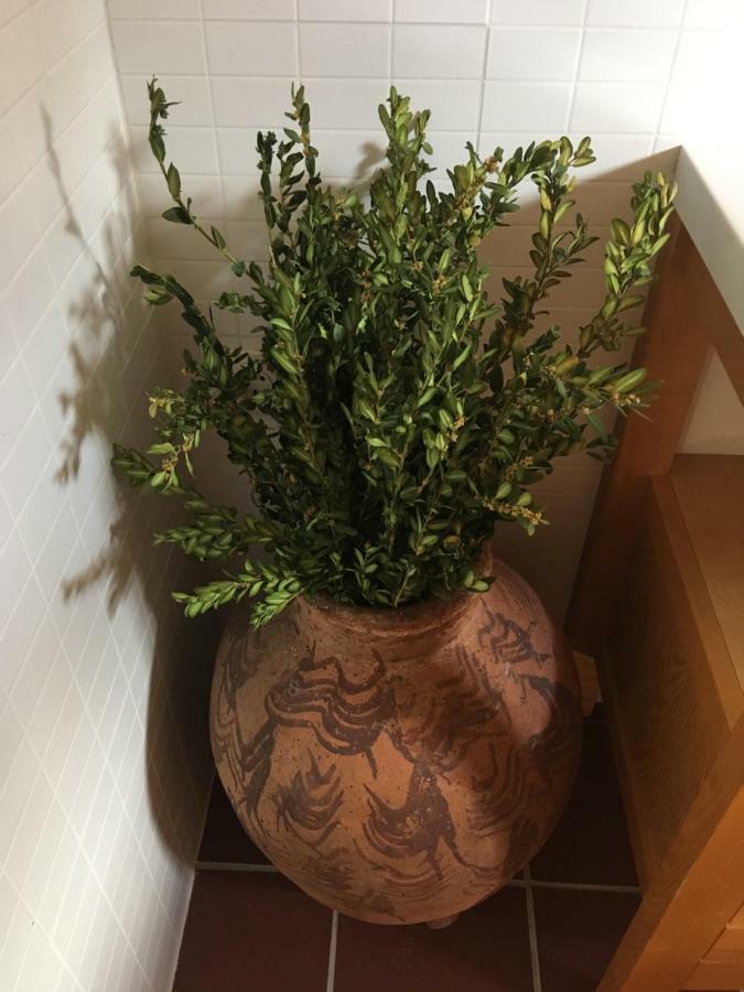 Casa Rural La Sabina Fortanete 外观 照片
